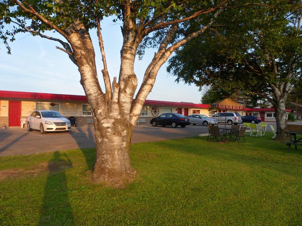 The Silver Birch Motel Goderich Extérieur photo